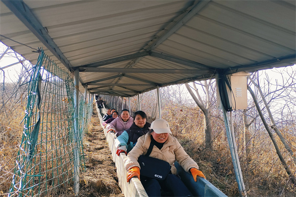 1710120702991101.jpg 8.jpg