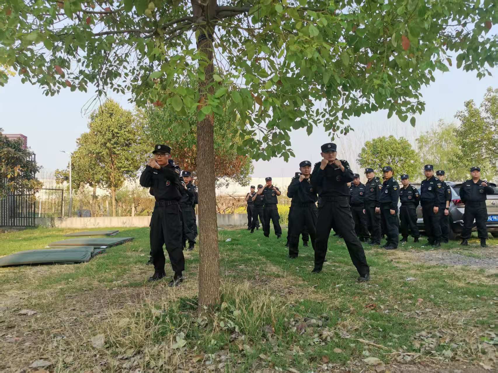 1743210703978494.jpg 1743210703978494.jpg