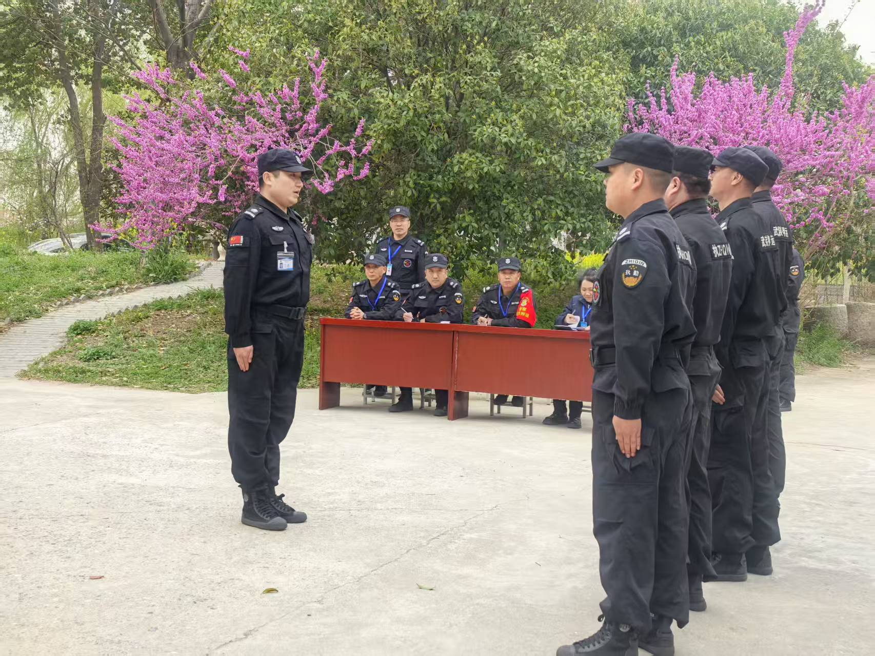 1743210734305515.jpg 1743210734305515.jpg